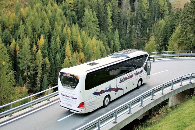 Rejs sammen: De bedste tips til at leje en bus til din gruppe